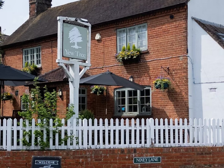 Yew Tree Frieth near Marlow